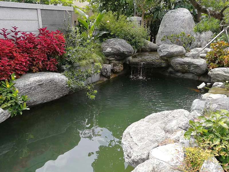庭院鱼池水处理设备一体机多少钱？