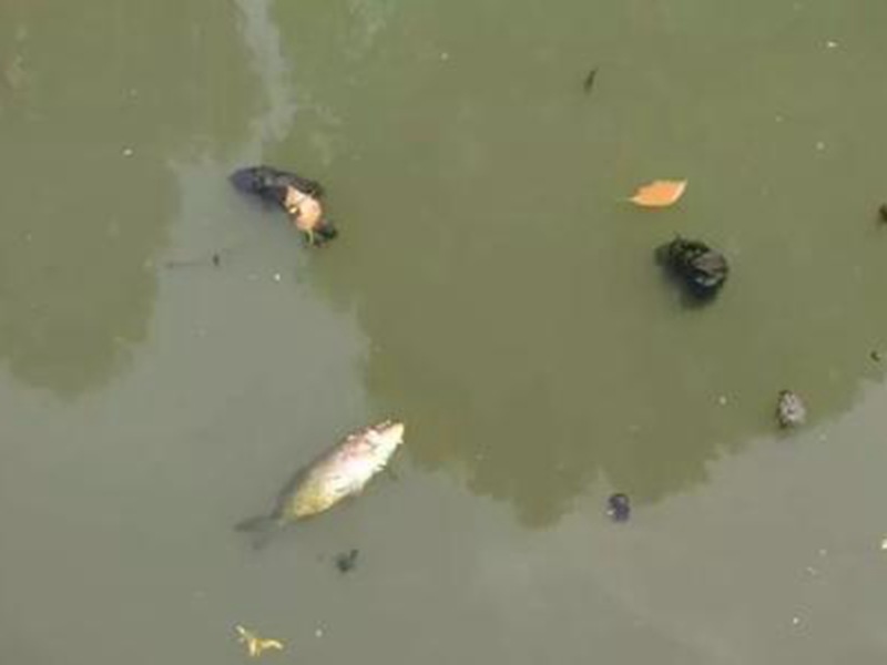 太原重点整治臭水河