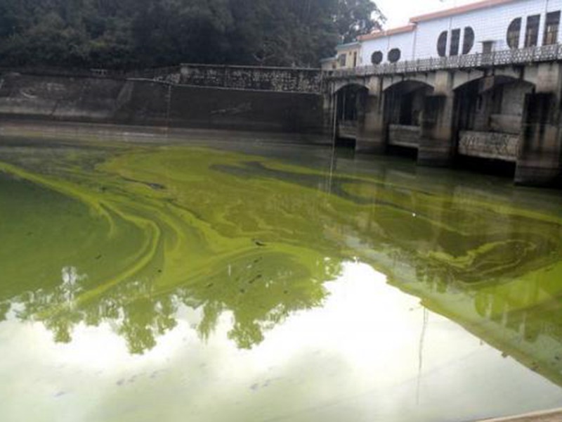 鹤地水库遭受比较严重的污染